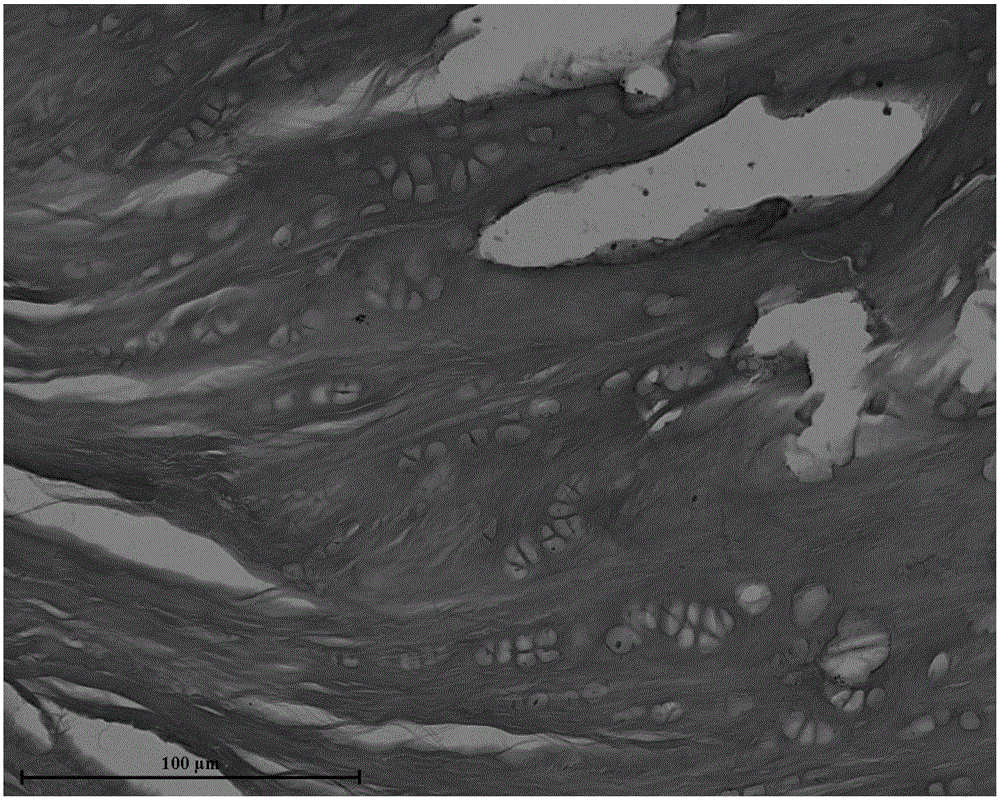 Preparation method of tendon conjunction bone decellularization material of natural tissue source