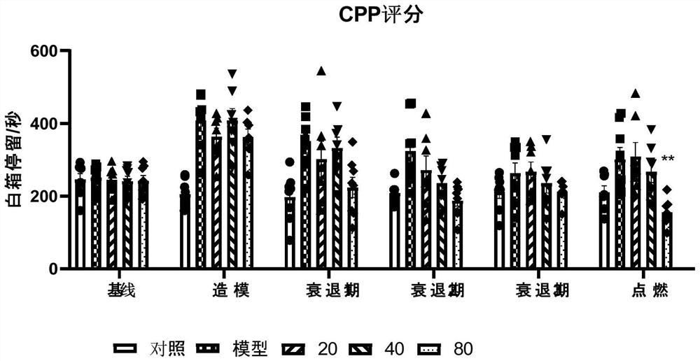 Application of hederagenin in preparation of drug rehabilitation drugs