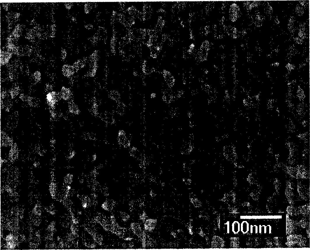 Nanometer porous metal catalyst and its prepn