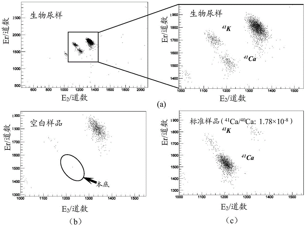 Isotopic tracing method for monitoring cancer cell osseous metastasis