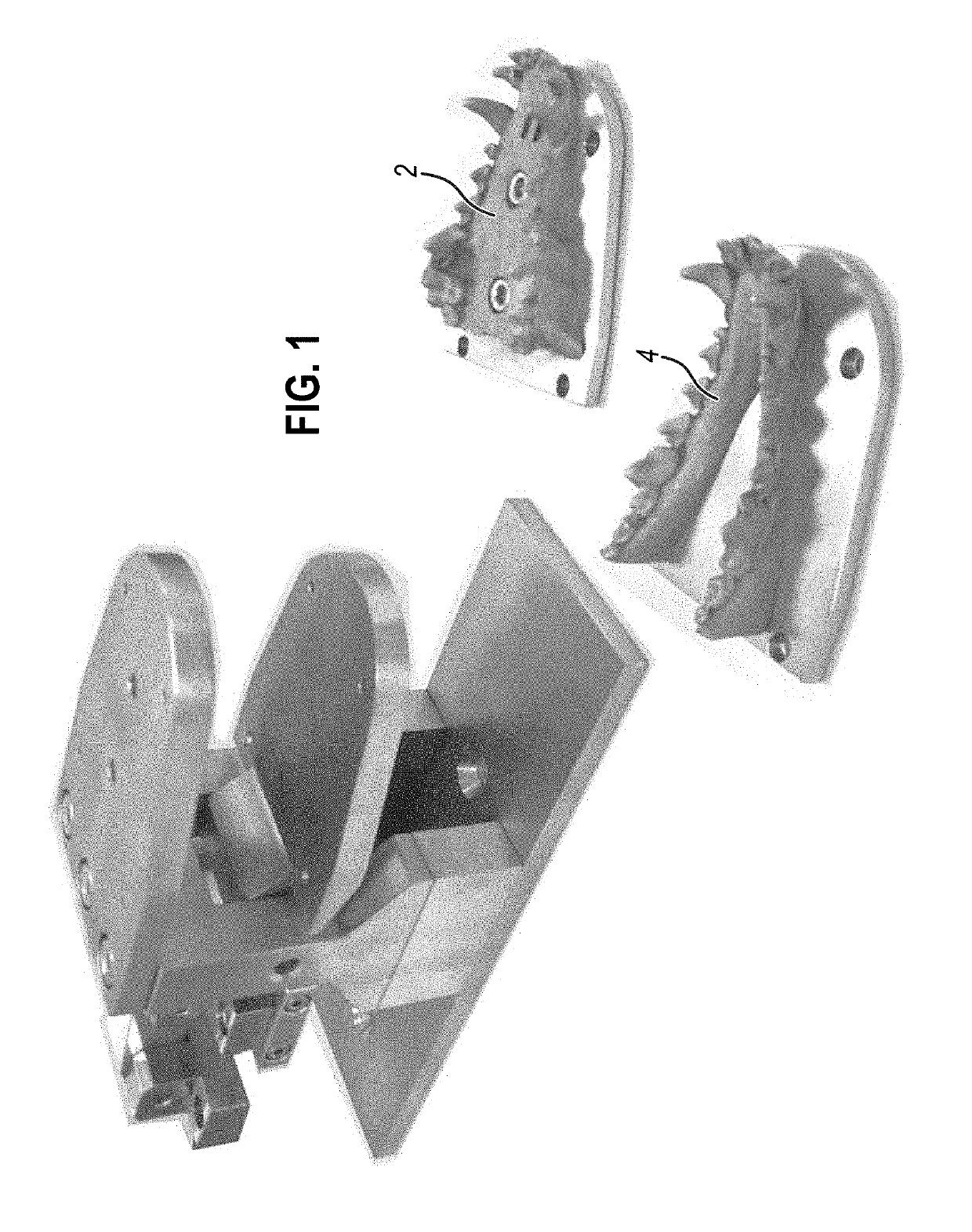 Animal dentistry apparatus and methods