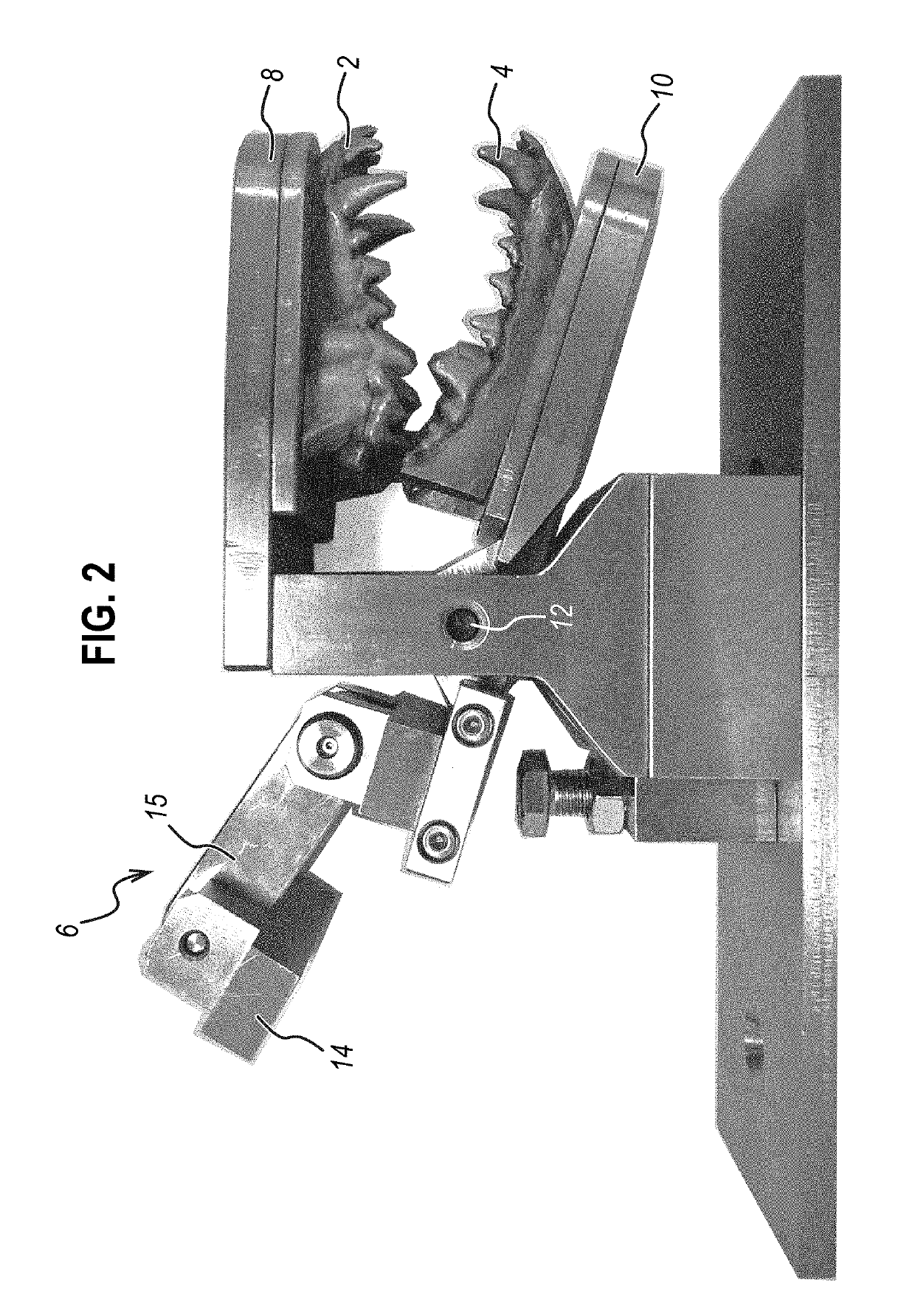 Animal dentistry apparatus and methods