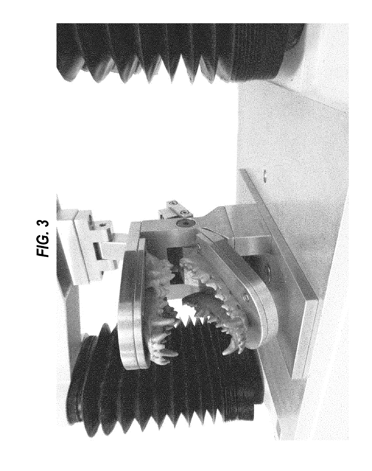 Animal dentistry apparatus and methods