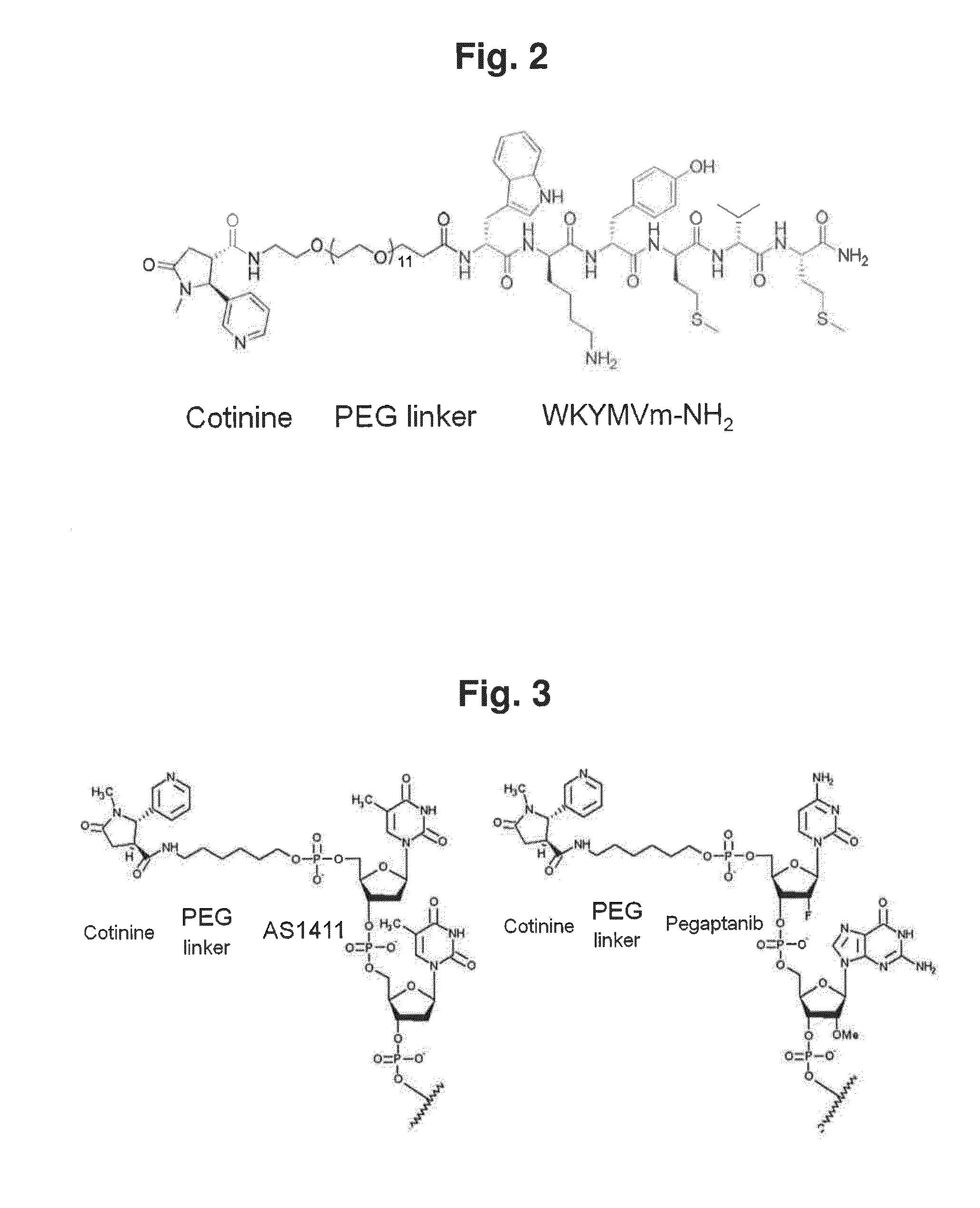 Complex in which Anti-cotinine antibody is bound to conjugate of cotinine and binding substance, and use thereof