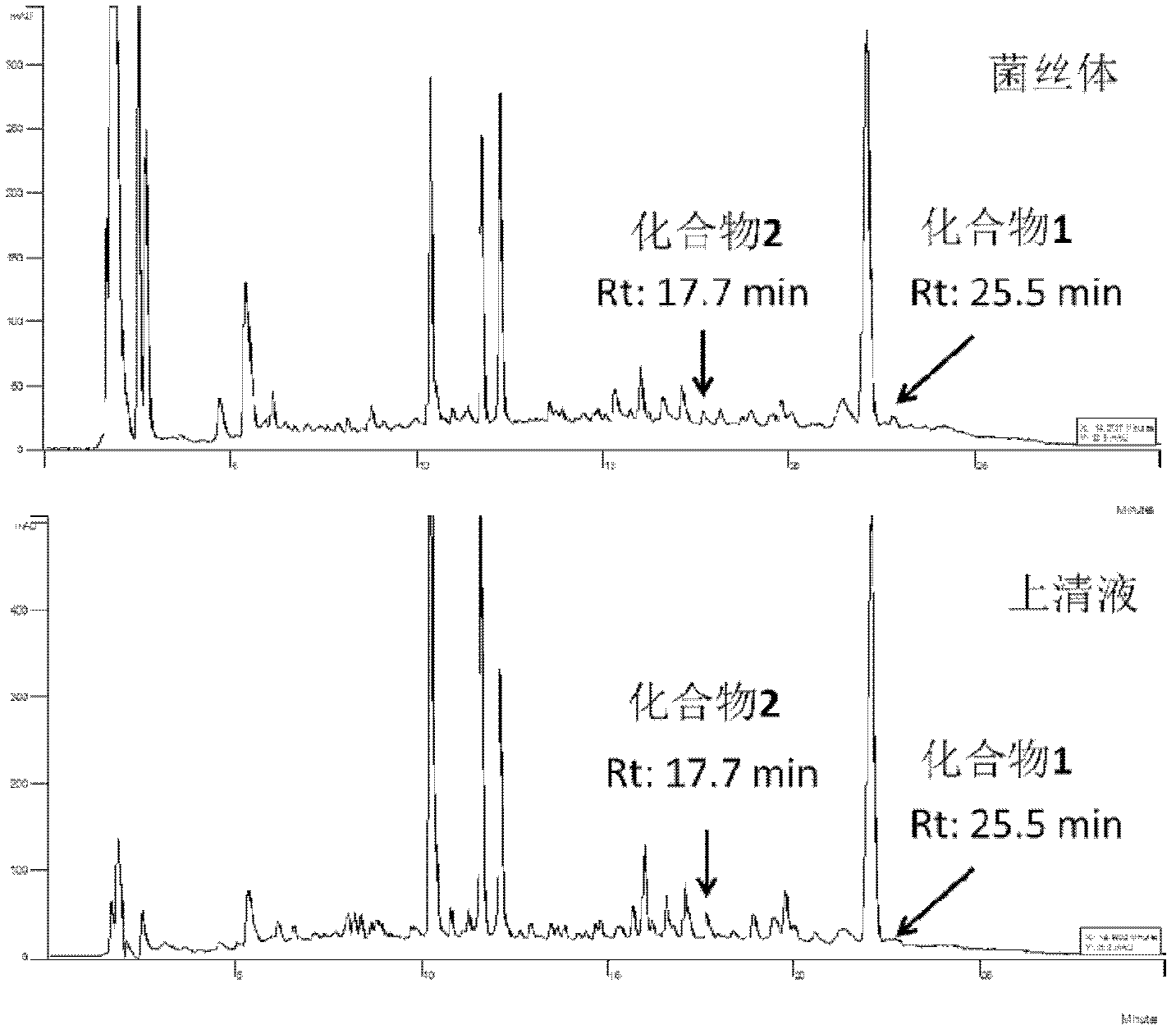 Antibiotic Lobophorin E and F, preparation methods and applications thereof in preparing antibacterial and antitumor drugs