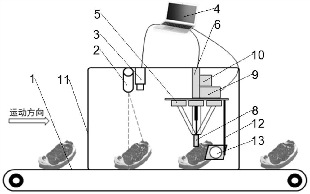 Intelligent meat quality online detection method and detection system