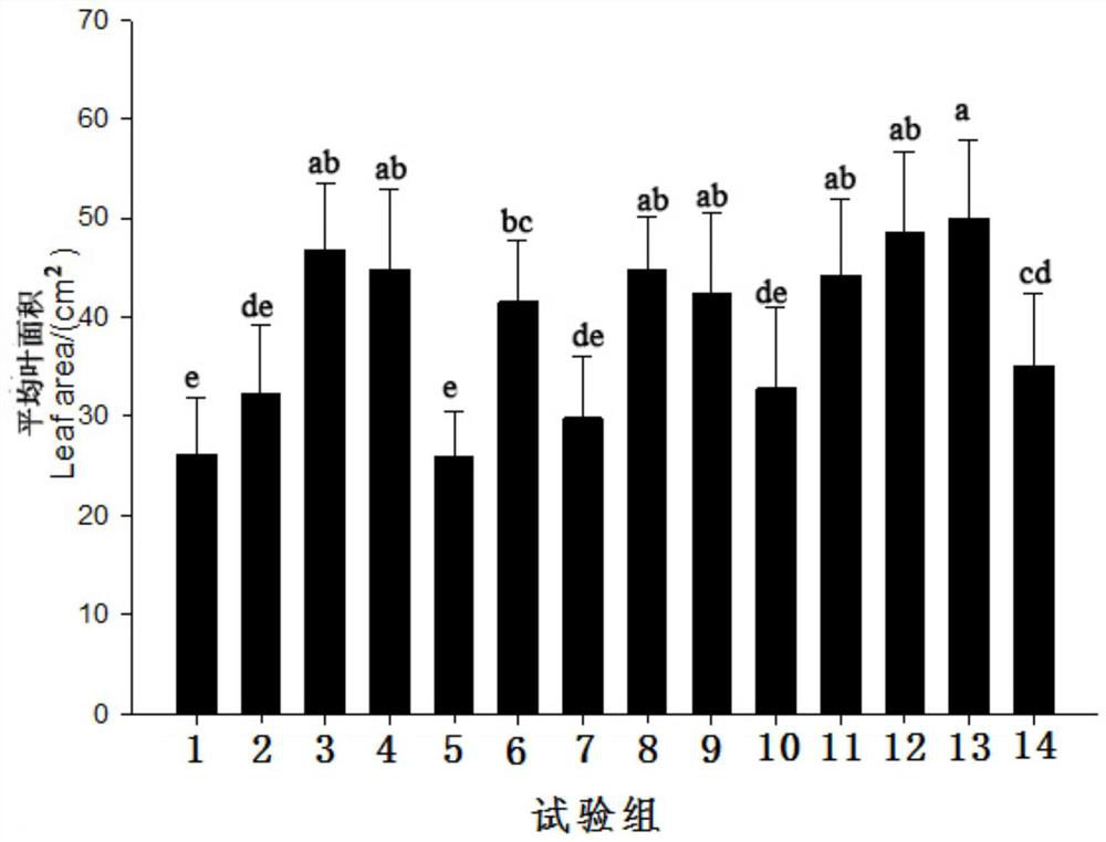 An efficient fertilization method for the climbing rose 'Angela'