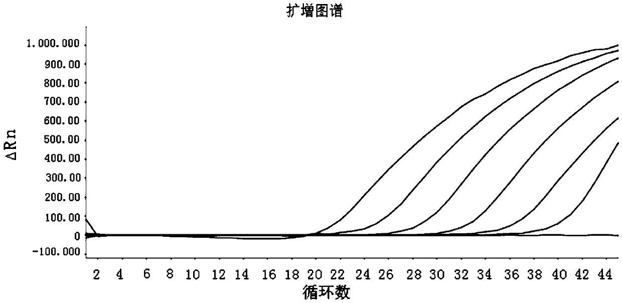 Real-time fluorescent PCR (polymerase chain reaction) detection method of opium poppy component