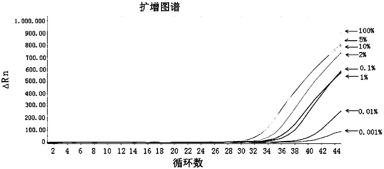 Real-time fluorescent PCR (polymerase chain reaction) detection method of opium poppy component