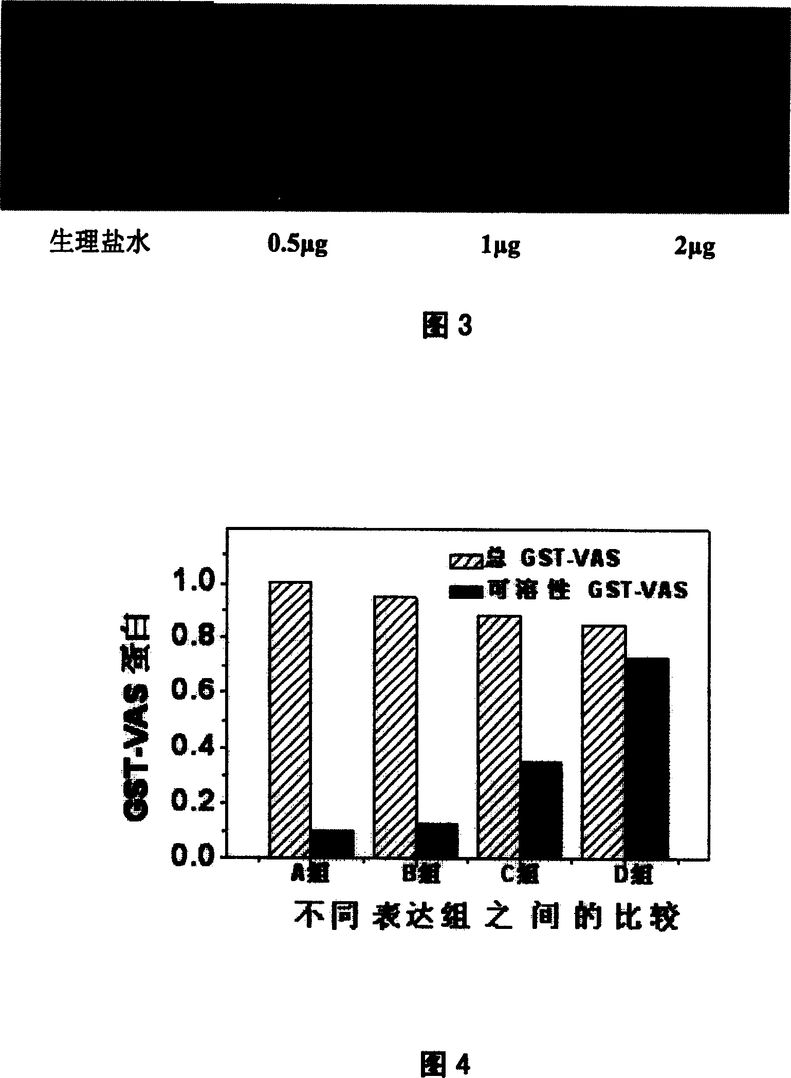 Method and use of producing soluble recombinant protein in colibacillus