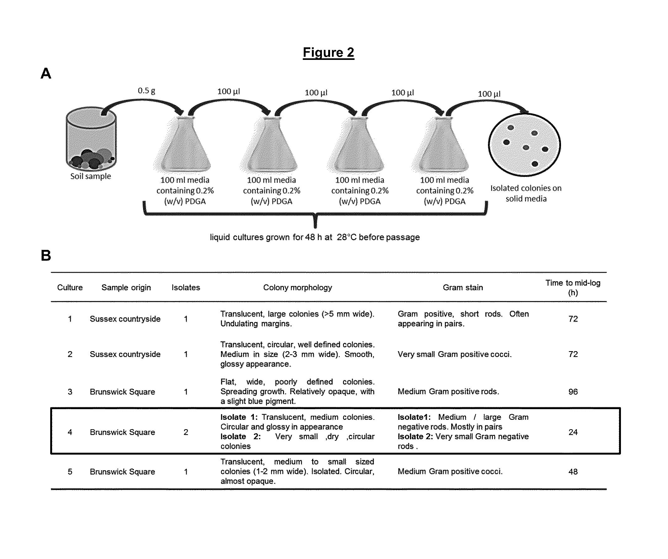 Enzyme and uses thereof