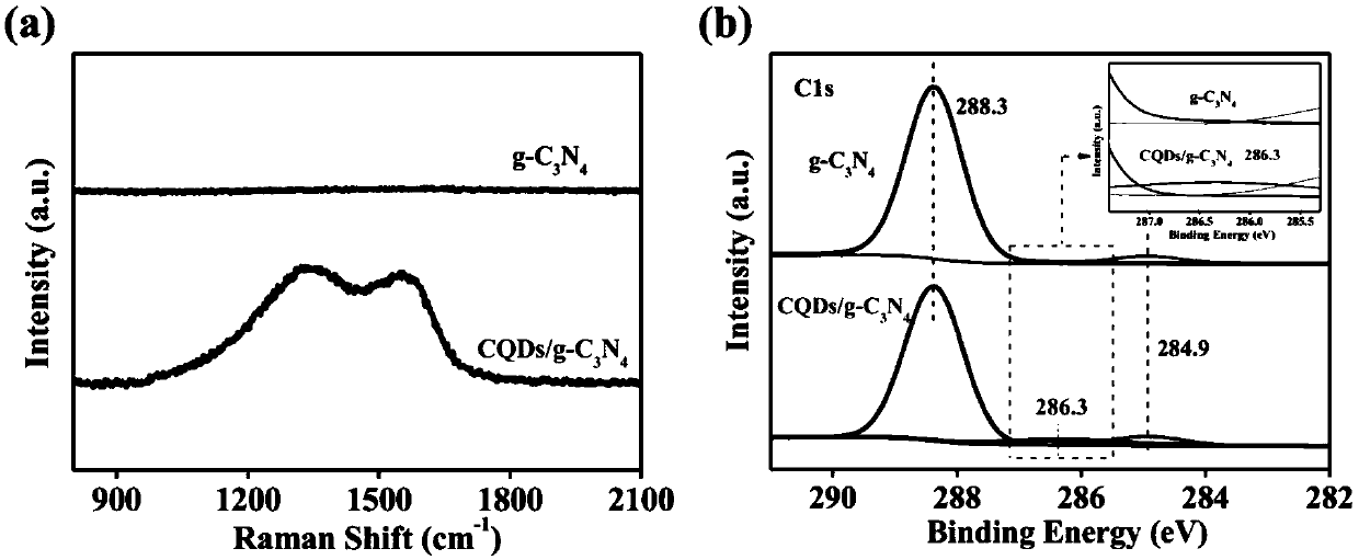 Application of carbon quantum dot-graphite phase like carbon nitride photocatalytic material to preparation of medicines capable of killing bacteria and promoting skin cicatrice healing