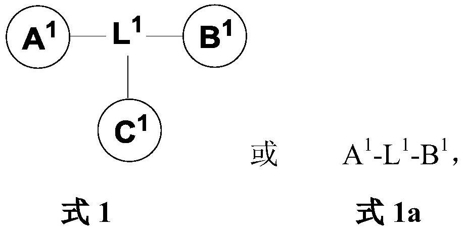 Monomer and multimeric Anti-hbv agents