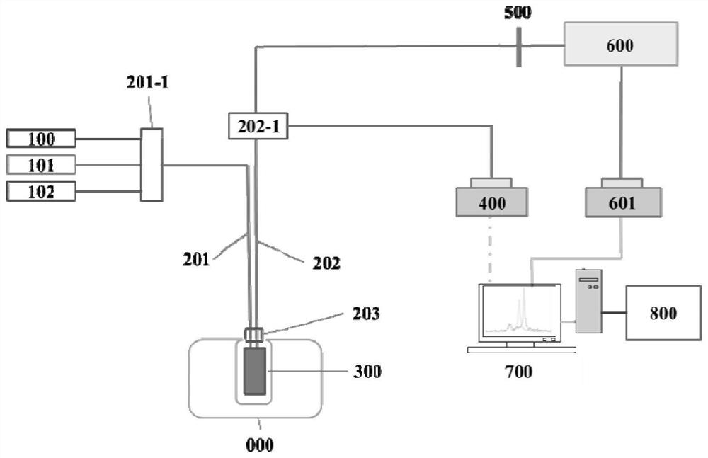 Dual-wavelength enhanced Raman endoscopic non-invasive pathological detection device and detection method