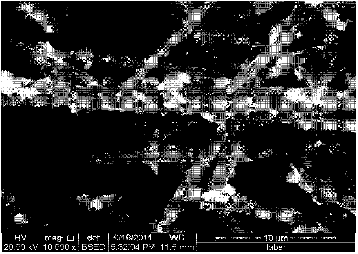 ZnWO4-coated aluminum borate whisker-reinforced aluminum matrix composite and preparation method thereof