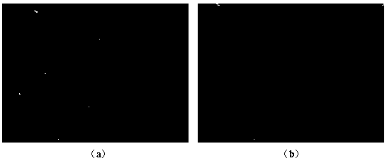 Method for preparing nano structure with biological activity on surface of pure titanium