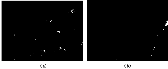 Method for preparing nano structure with biological activity on surface of pure titanium