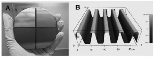 Photoresist, its preparation method, application and modification method of medical material surface