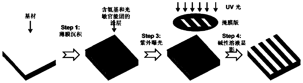 Photoresist, its preparation method, application and modification method of medical material surface