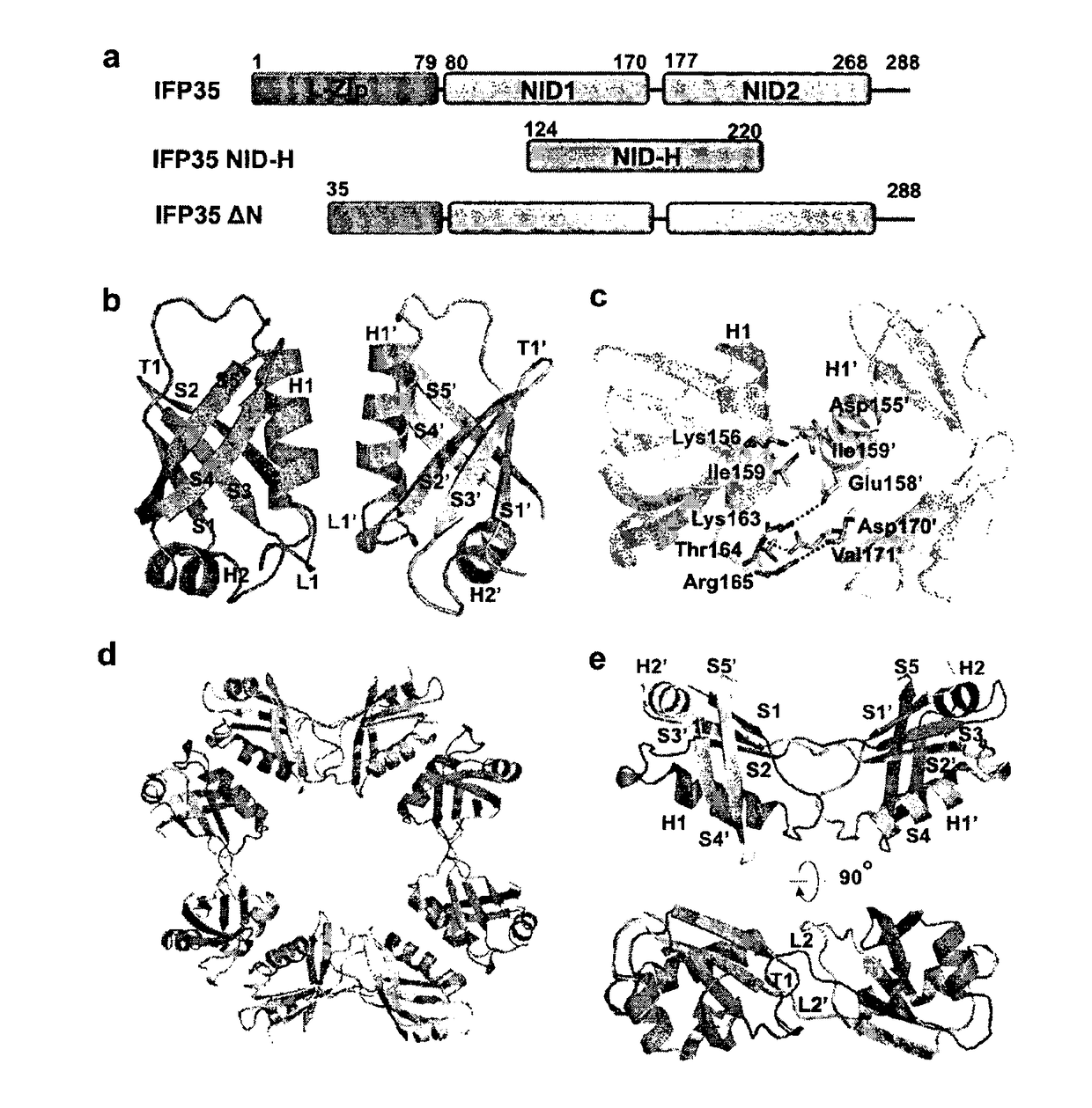 Methods and compositions for treating and/or preventing a disease or disorder associated with abnormal level and/or activity of the ifp35 family of proteins