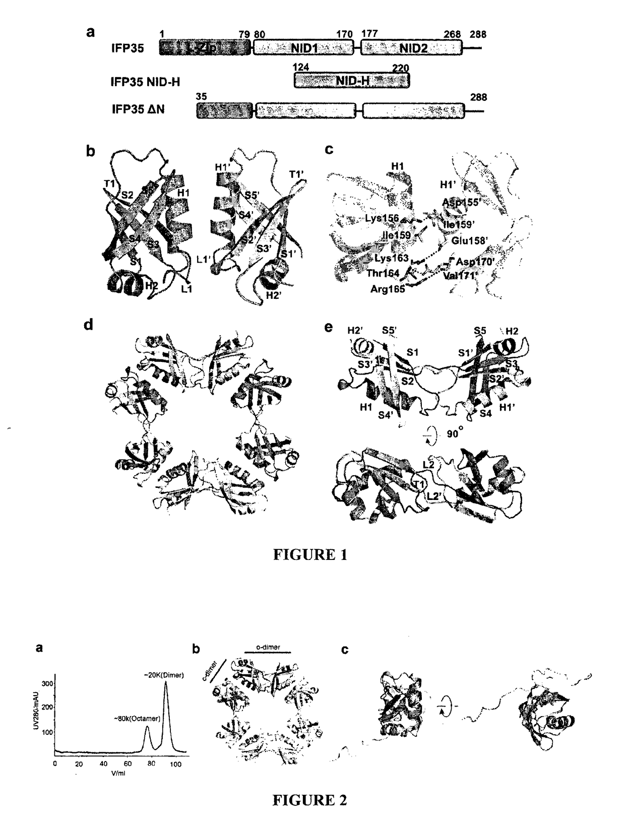 Methods and compositions for treating and/or preventing a disease or disorder associated with abnormal level and/or activity of the ifp35 family of proteins