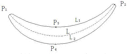 A scanning path planning method for blade dense point cloud acquisition based on laser ranging