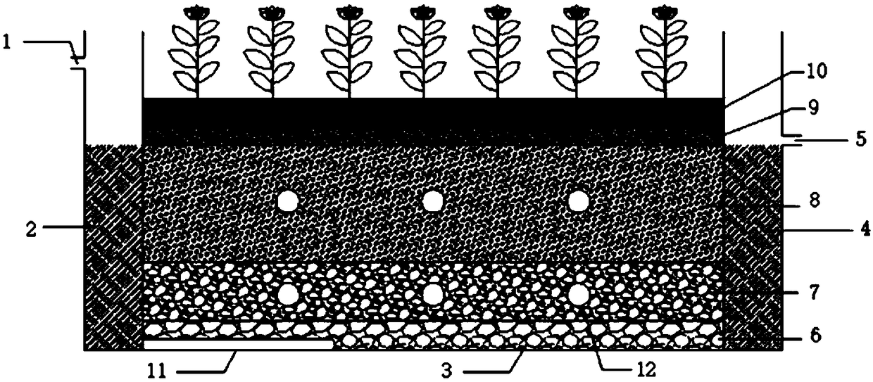 Artificial wetland system for treating black and odorous water body and operation method of artificial wetland system