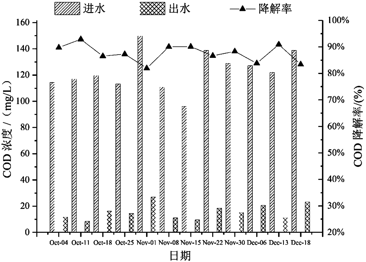 Artificial wetland system for treating black and odorous water body and operation method of artificial wetland system