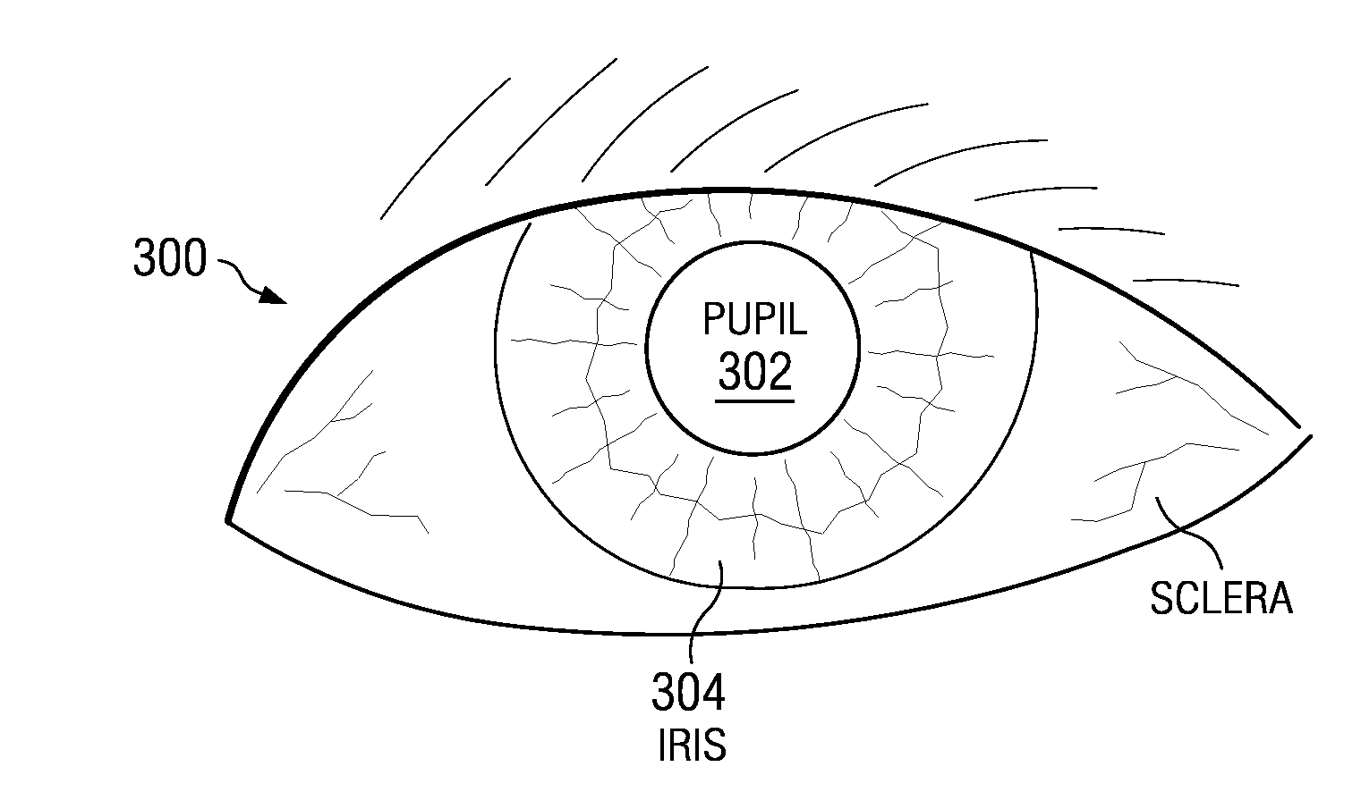 Detecting behavioral deviations by measuring eye movements