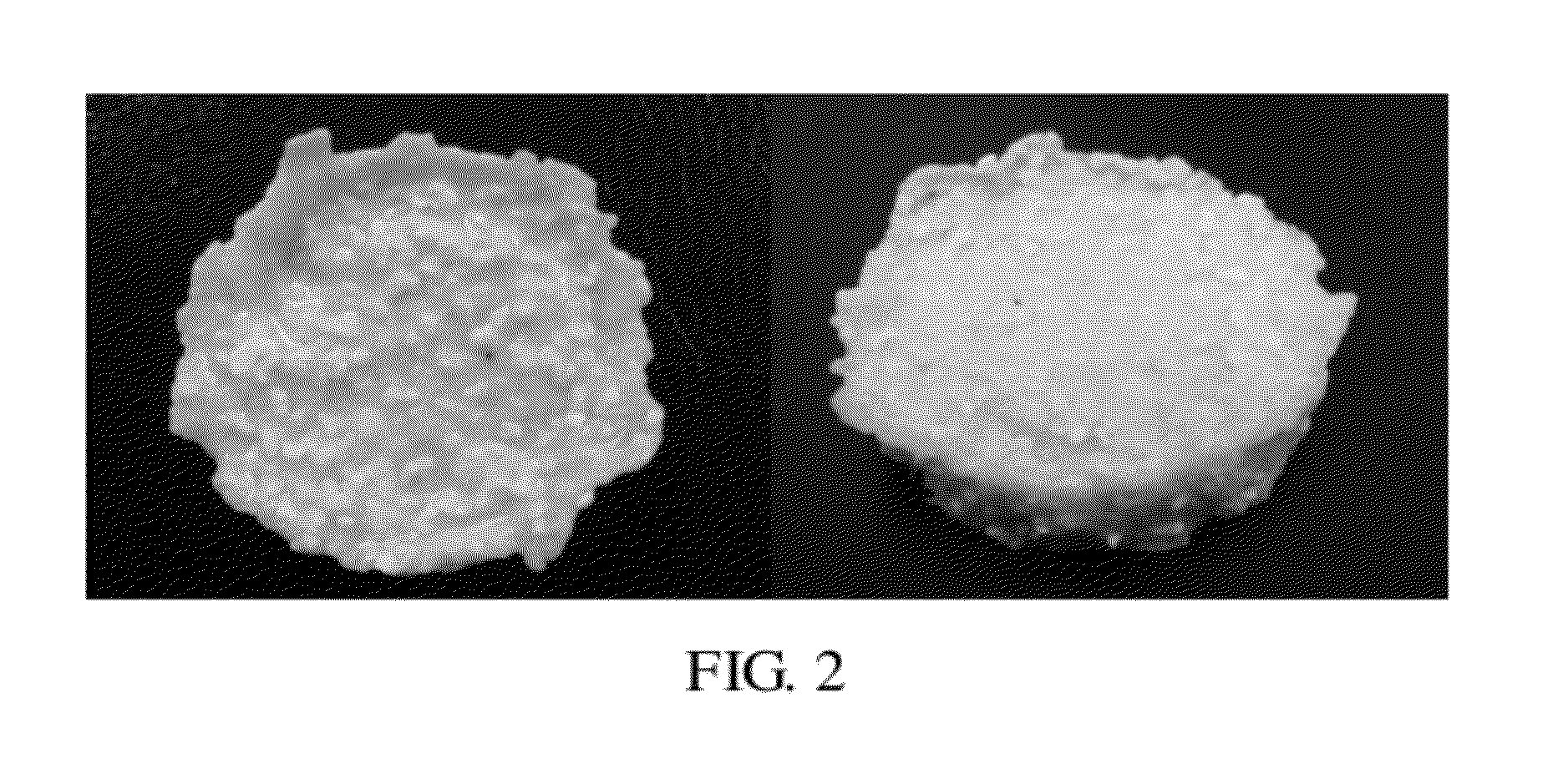 Mineralized Collagen/Bioceramic Composite and Manufacturing Method Thereof