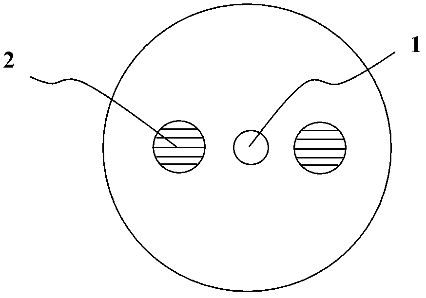 Optical fiber with polarization function