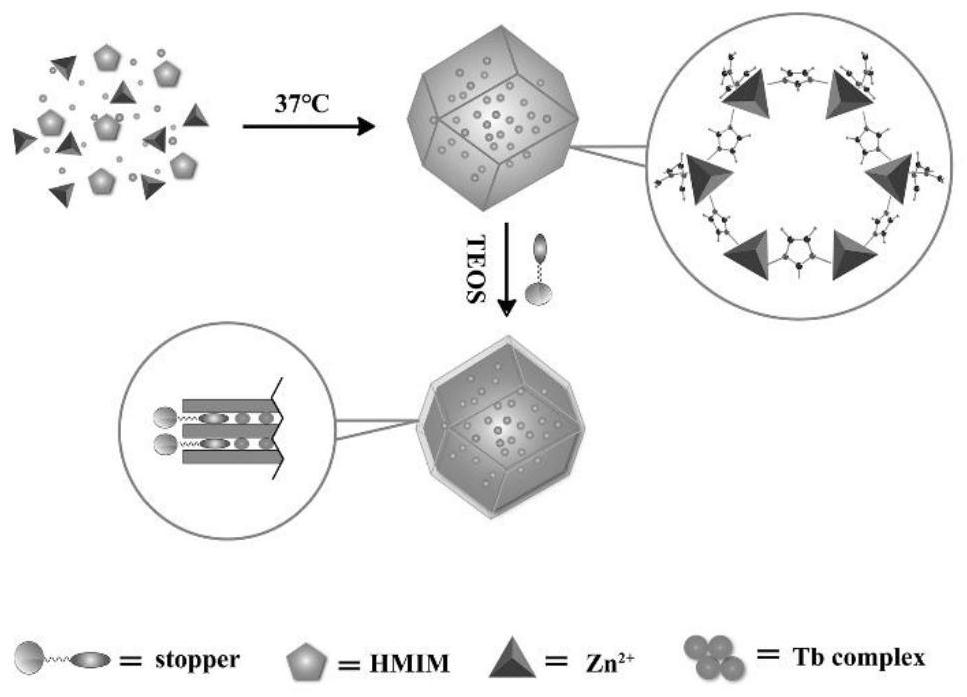 A kind of fluorescent nanoparticle and preparation method thereof