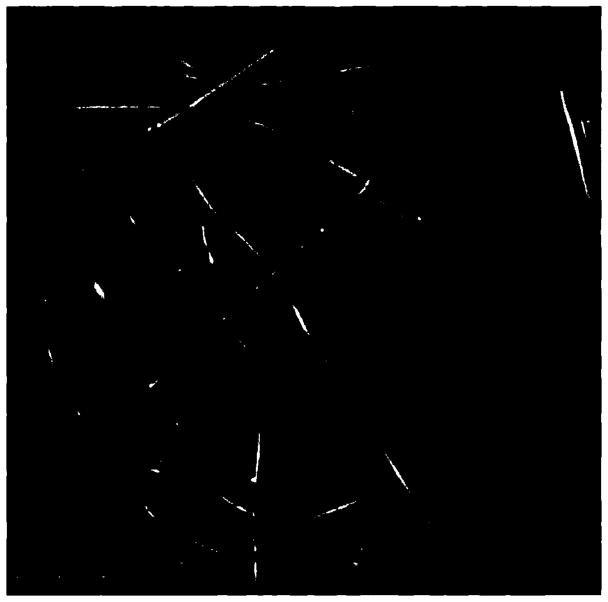 Preparation method of carbon dot-porous inorganic oxide composite nanofiber