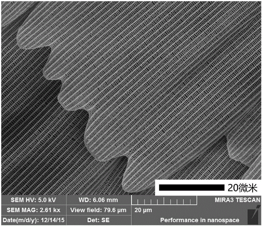 A tio with photonic crystal properties  <sub>2</sub> Preparation method of nanoparticles