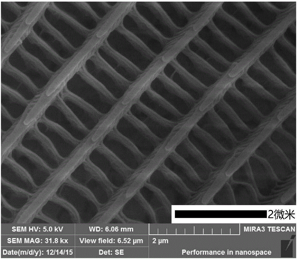 A tio with photonic crystal properties  <sub>2</sub> Preparation method of nanoparticles