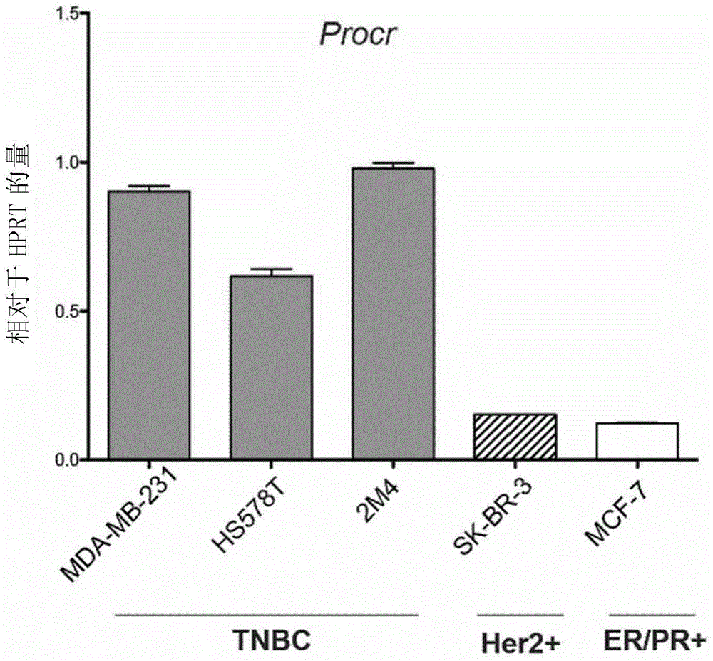Triple-negative breast cancer marker and applications of triple-negative breast cancer marker in diagnosis and therapy