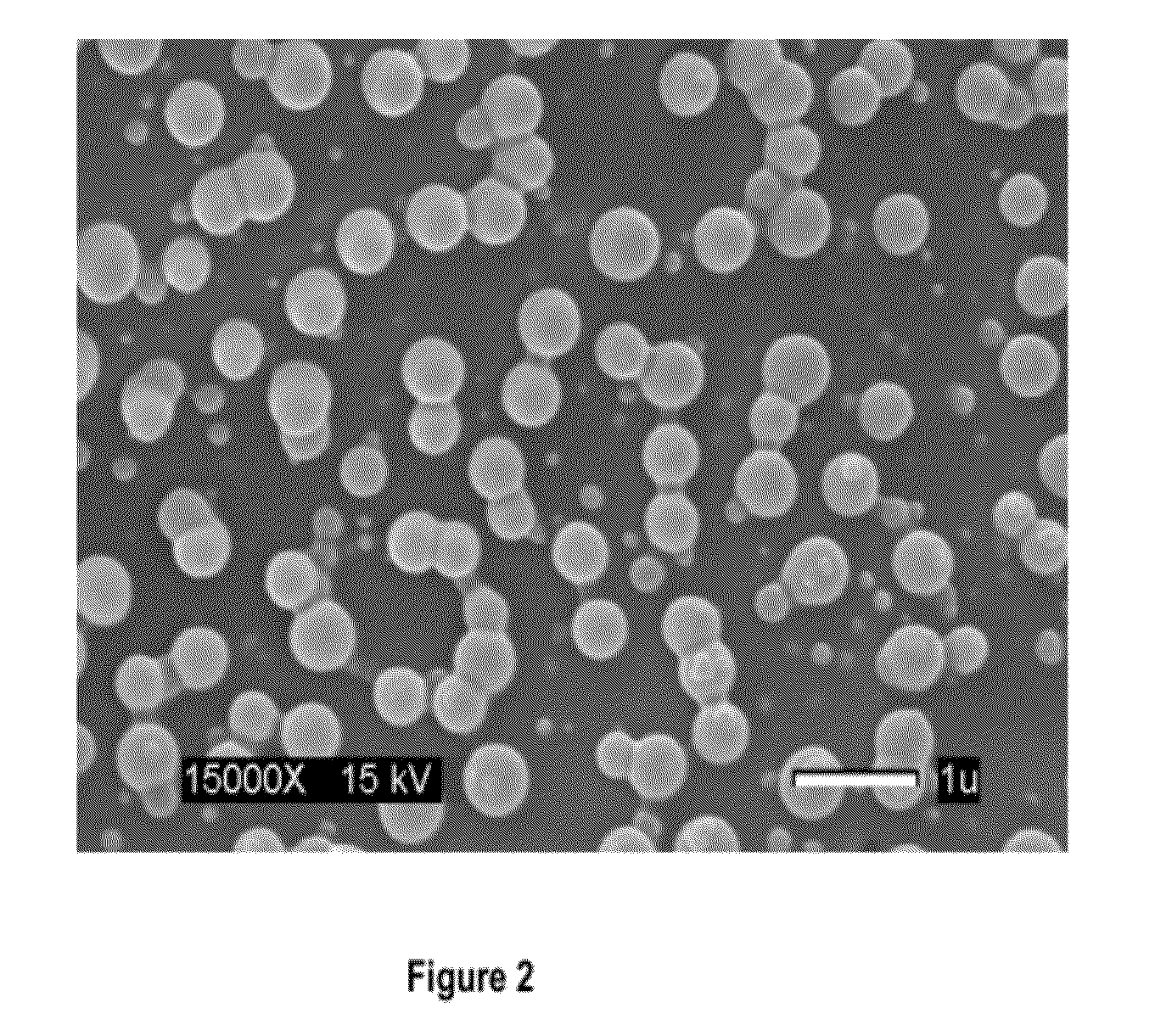 Stealth polymeric particles for delivery of bioactive or diagnostic agents