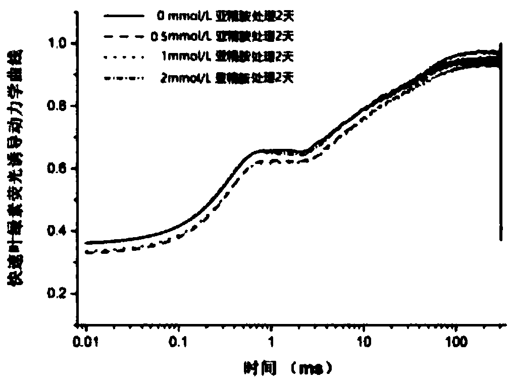 Method of Improving Heat Resistance of Cool-Season Turf Grass Tall Fescue Using External Application of Spermidine