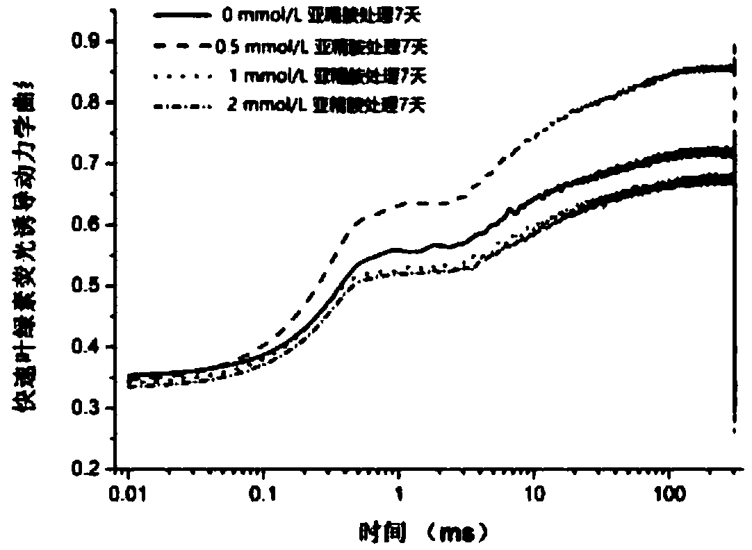 Method of Improving Heat Resistance of Cool-Season Turf Grass Tall Fescue Using External Application of Spermidine