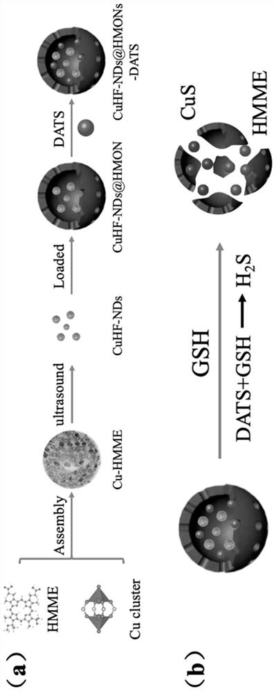 Allicin-containing tumor in-situ response nano-particles as well as preparation and application thereof