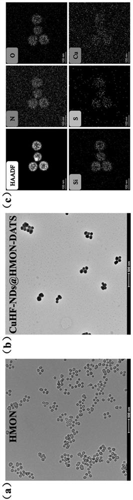 Allicin-containing tumor in-situ response nano-particles as well as preparation and application thereof