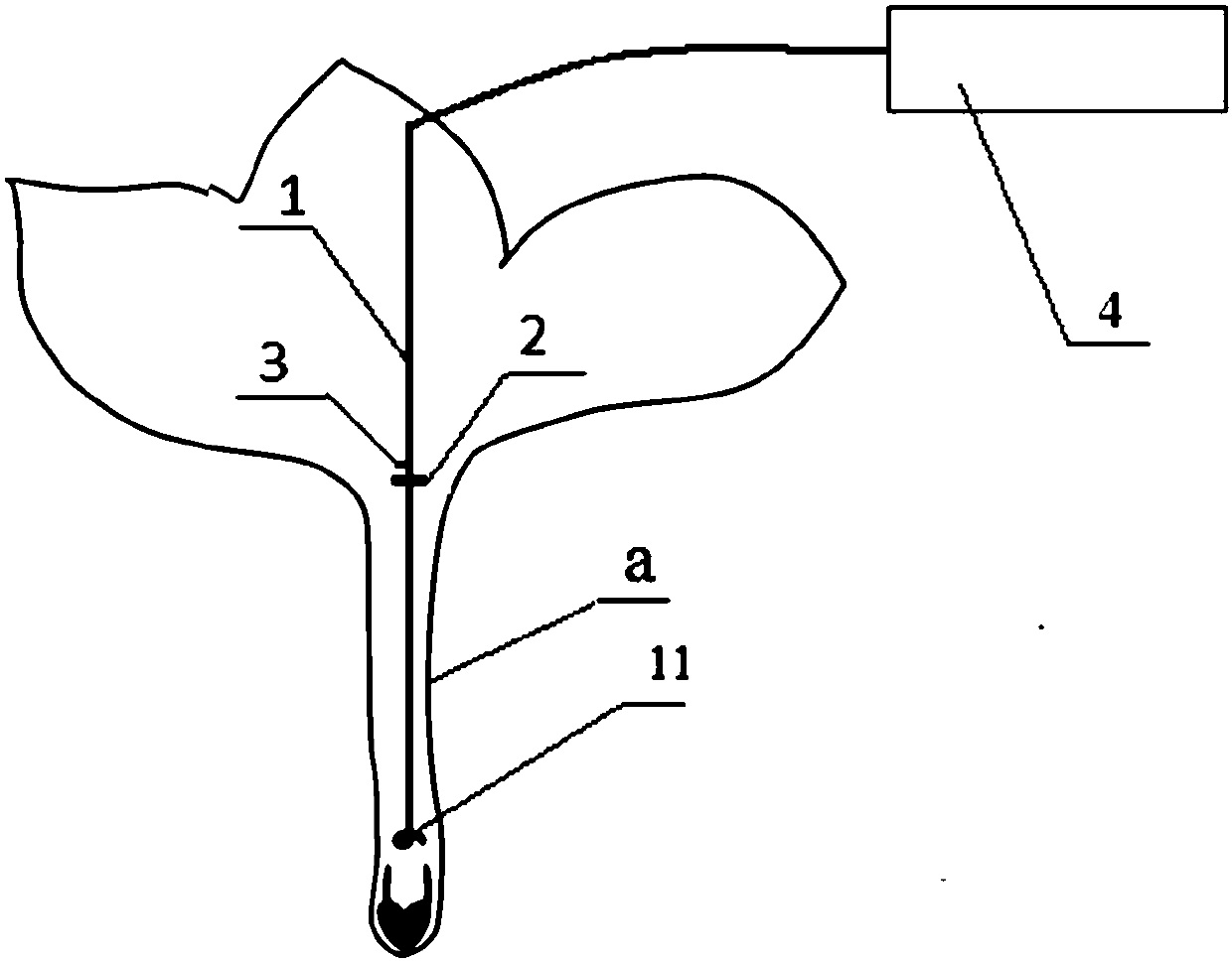Method and device for promoting pollination and fructification of plumeria rubra