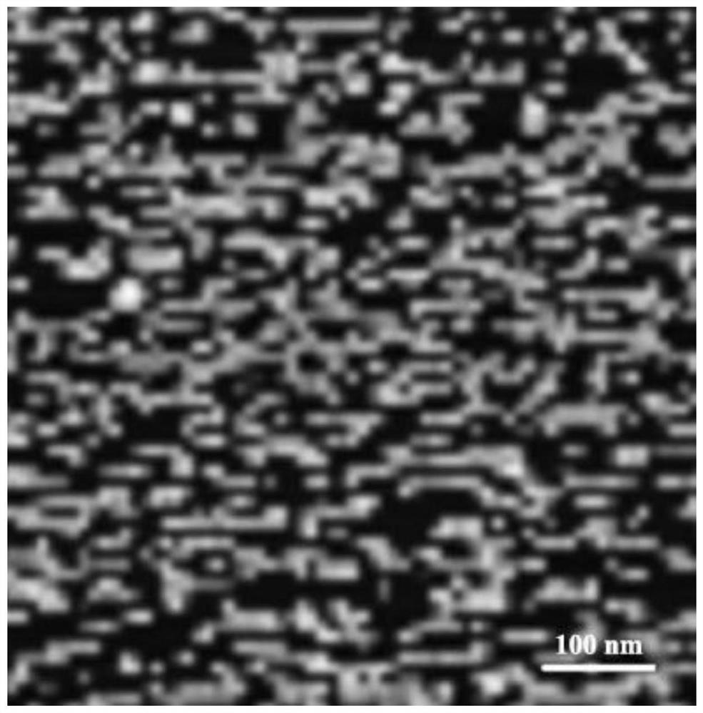 Nucleic acid-drug-loaded nano material for improving tumor permeability through VEGF response and preparation method and application thereof