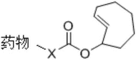 Application of asymmetrical 1,2,4,5-tetrazine molecule
