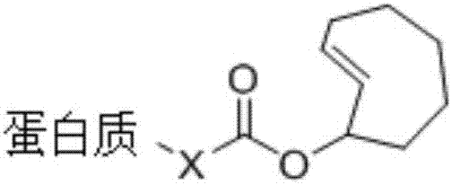 Application of asymmetrical 1,2,4,5-tetrazine molecule
