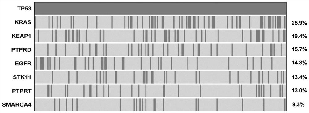 Application of PTPRD gene mutation in predicting immunotherapy sensitivity of TP53 mutant lung cancer patient