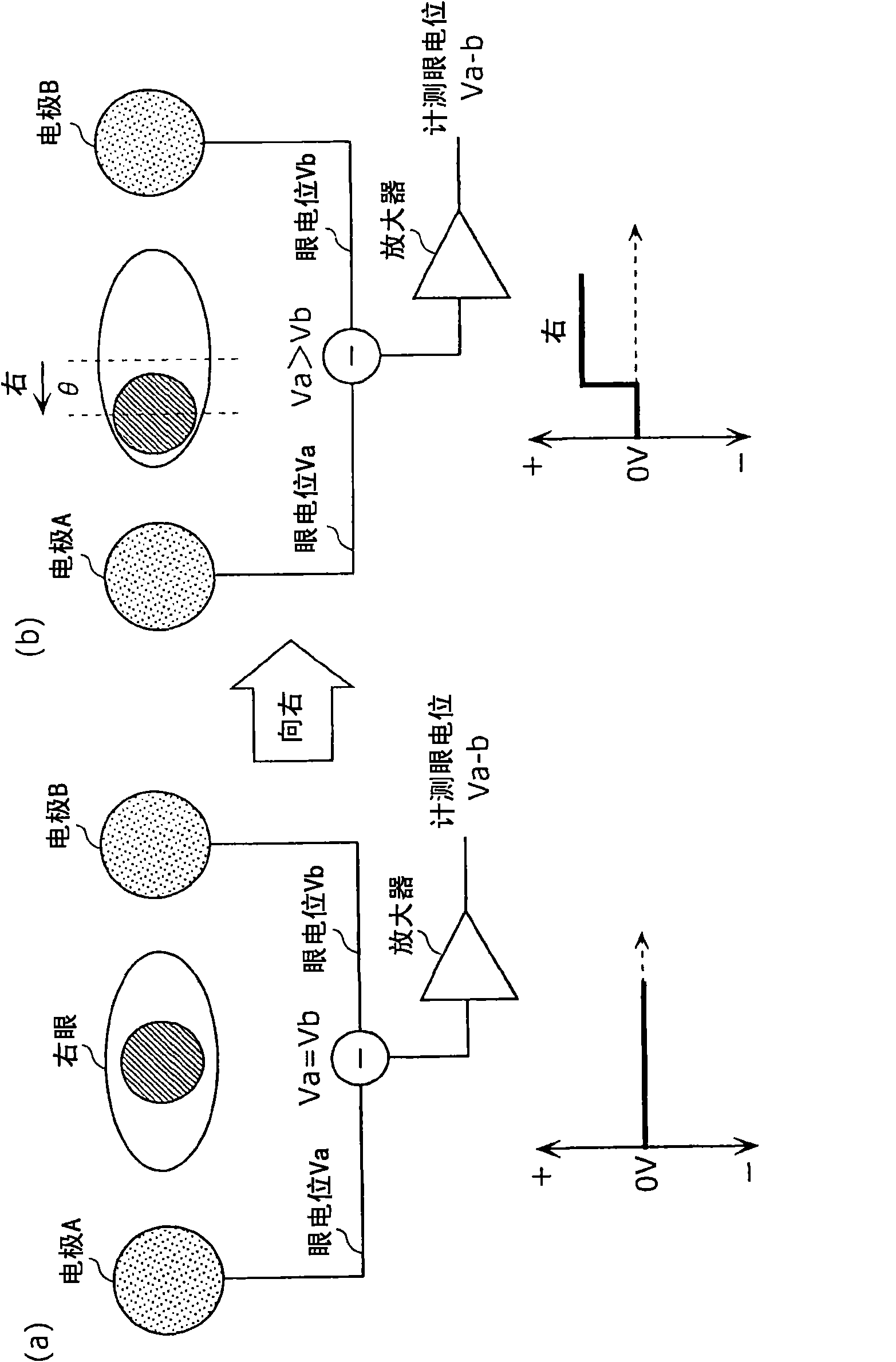 Sight line detector and method for detecting sight line
