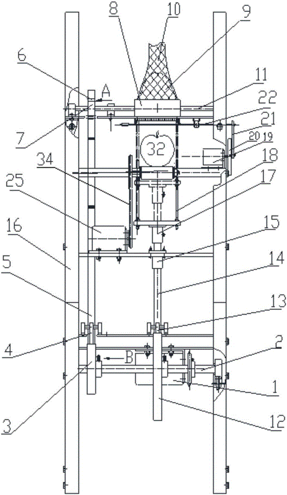Automatic fruit net covering device
