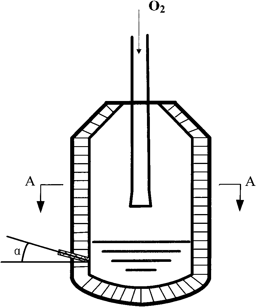 Powder spraying device and method for efficient vanadium extracting process of converter
