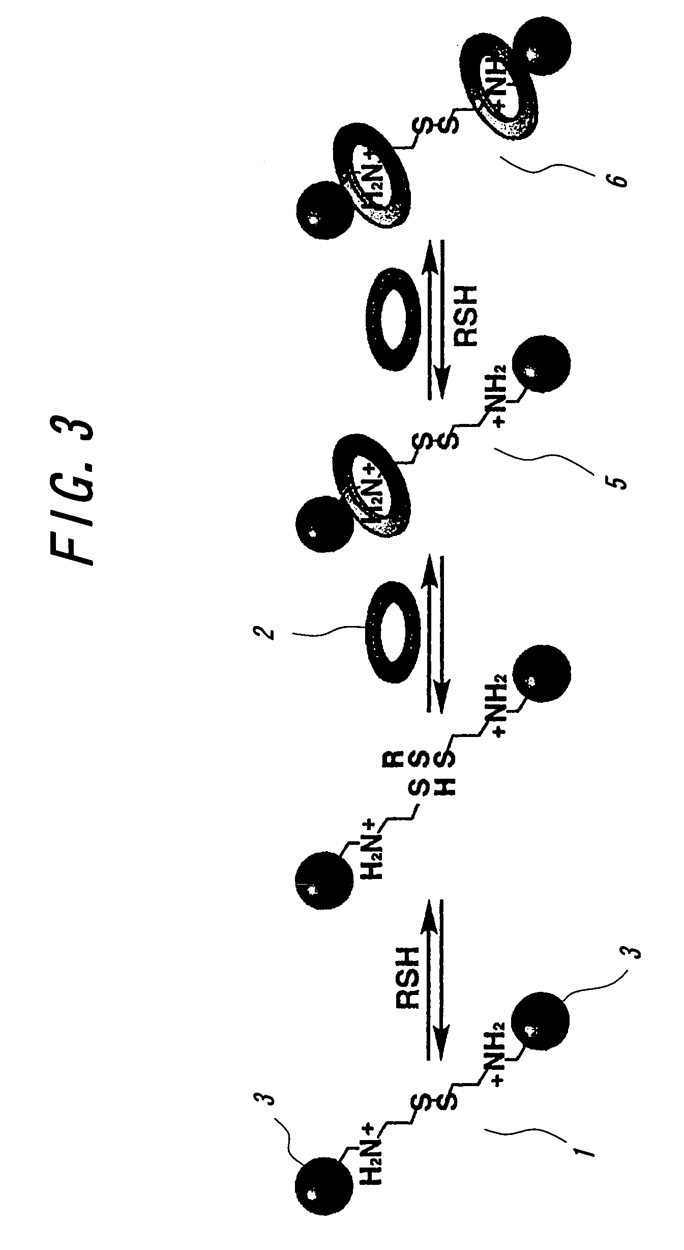 Crosslinked body and method of producing the same and method of recycling the same